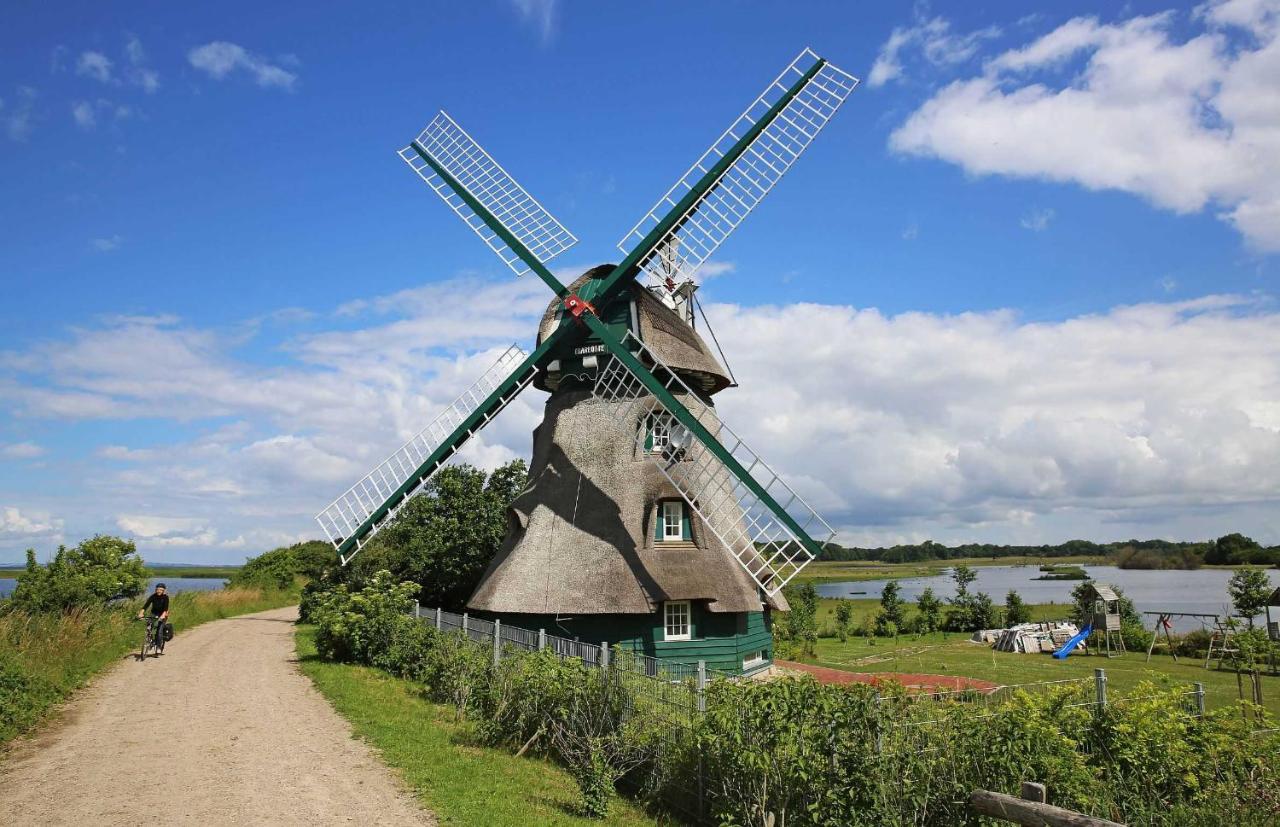 Ferienwohnung Lischewski Steinberg (Schleswig-Holstein) Exterior foto